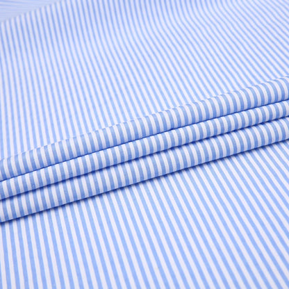 Blue Striped Shirt